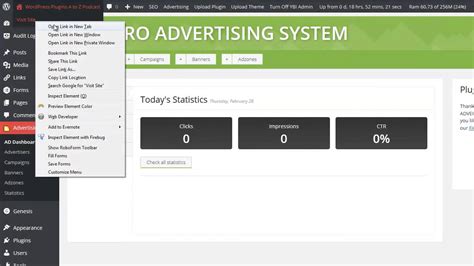 setting   wp pro advertising system plugin youtube