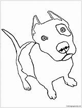 Coloring Pages Pitbull Pit Bull Puppy Color Printable Online Kids sketch template
