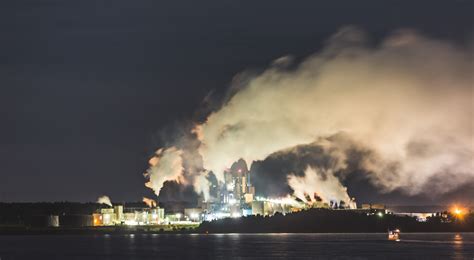 means  closure  northern pulp mill  future  forestry   act