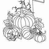 Coloring Fall Pages Pumpkins Pumpkin sketch template