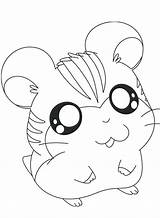Hamster Hamtaro Sandy Dwarf Hamsters Ausmalbild Getdrawings Pets Peep Ausmalen Kidsdrawing Momjunction Penelope sketch template
