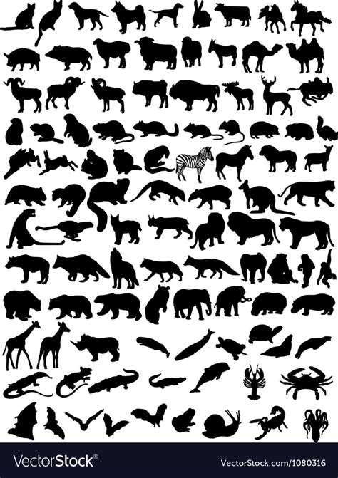 animals royalty  vector image vectorstock