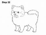 Pomeranian Pom sketch template