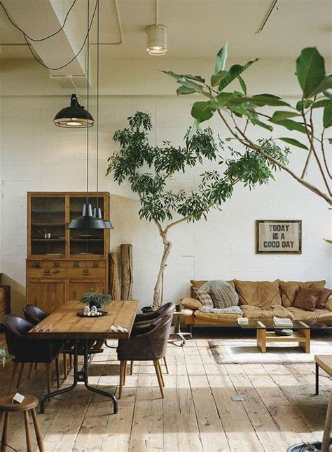 como decorar  sala de estar  plantas casa vogue ambientes