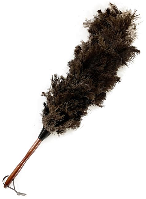 aayu ostrich feather duster long duster     etsy