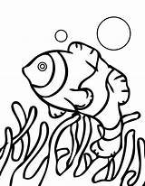 Coral Reef Coloring Pages Great Barrier Drawing Fish Printable Kids Getdrawings Popular sketch template
