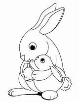Rabbit Coloring Kids Pages Print Animals sketch template