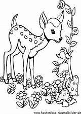 Reh Ausmalbilder Tiere Rehe Ausmalen Kostenlose Bambi Zeichnen Malvorlagen Malvorlage Hirsche Mushrooms Arbeitsblaetter Ausmalvorlagen Tier Zeichnung Vorheriges sketch template