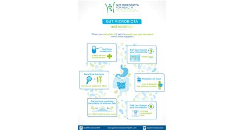 Gut Microbiota And Nutrition Gut Microbiota For Health