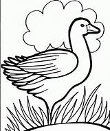 Coloring Pages Colouring Kids Duck Print Color Printable Drawing Online Duckling Bird Pre School 321coloringpages Activity Animal Bestcoloringpagesforkids Clipart Viewing sketch template