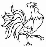 Gallo Imprimir Gallos Rooster Patterns Buscando Hen sketch template