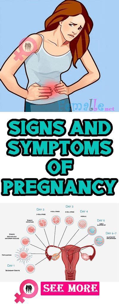 signs  symptoms  pregnancy healthy pregnancy group board
