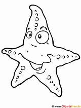 Seestern Starfish Malvorlage Malvorlagen Titel sketch template
