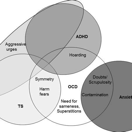 schematic representation   relationships   ocd factors  scientific