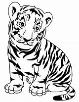 Tiger Bengal sketch template