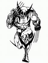Wolverine Superhero Everfreecoloring Colorir Hulk Sketchite sketch template
