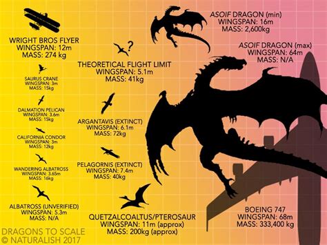 Dragon Size Comparison Chart Dragon Dragonfly Game Of