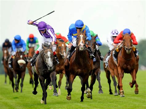 horse racing    premium sports betting channel