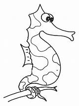 Seaweed Coloring Pages Seahorse Stick Tall Around Using Its Cliparts Getcolorings sketch template