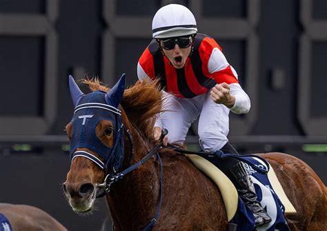 Evers On Twitter Win Marilyn Takes The Hong Kong Vase With Damien