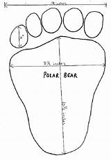 Polar Footprint Animals Paw Tracks sketch template