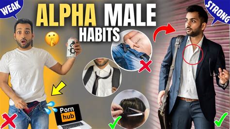 alpha male qualities real mard how to build personality