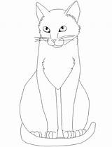 Cat sketch template