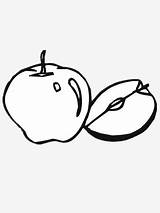 Rotten Apple Drawing Getdrawings sketch template