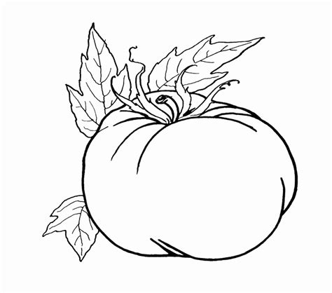 foods archives  coloring pages  kids