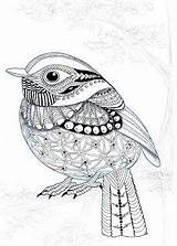 Zentangle Kwok Efie Vogel Oiseau Vogels Flycatcher Birds Google Icolor Pigeon Hummingbird Uitprinten Colibri Odwiedź Gå Downloaden sketch template