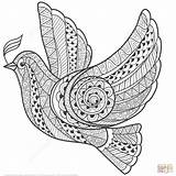 Peace Coloring Pages Zentangle Dove Printable Getcolorings sketch template