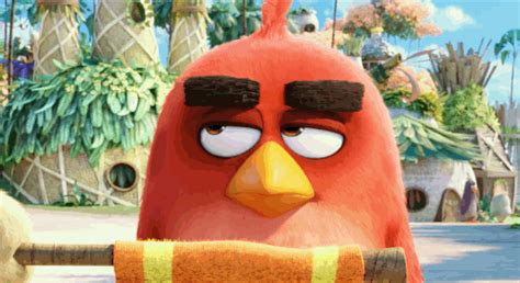 The Angry Birds Movie Anger  By Angry Birds Find