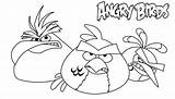 Angry Birds Coloring Pages Bird Print Printable Space Kids Library Clipart Pdf Wars Star Popular Comments sketch template
