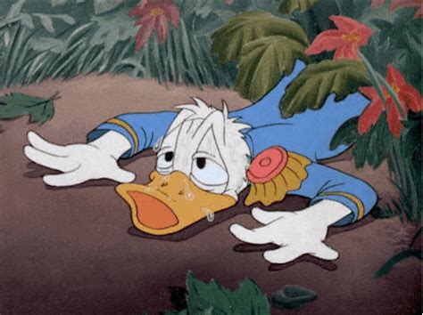 donald duck crying find and share on giphy