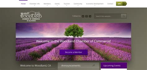 website design woodland ca