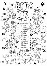Pets Worksheets Esl Printables Worksheet Animals Ingles Printable Farm Para Atividades Em Inglês Colour Wild Crianças Match Animais Eslprintables Animales sketch template