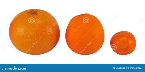 fruits stock photo image  food diet plant mandarine