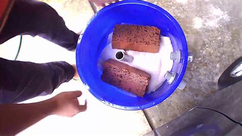 cleaning fish pond filter youtube