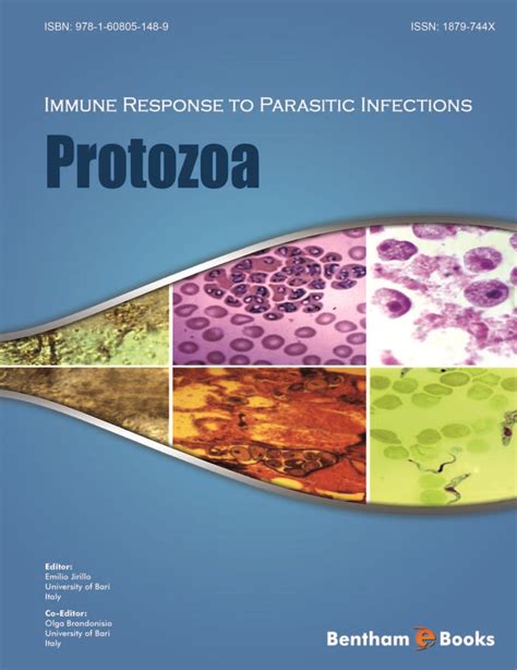 Immune Response To Parasitic Infections Protozoa