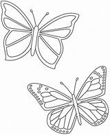 Borboleta Borboletas Mariposas Bigactivities Pintar Schmetterling Papillons Mariposa Animais Papillon Vorlagen Sponsored Perfil Coloringcity Educação Mur Soloinfantil sketch template