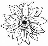 Colouring Beccy Gerbera sketch template