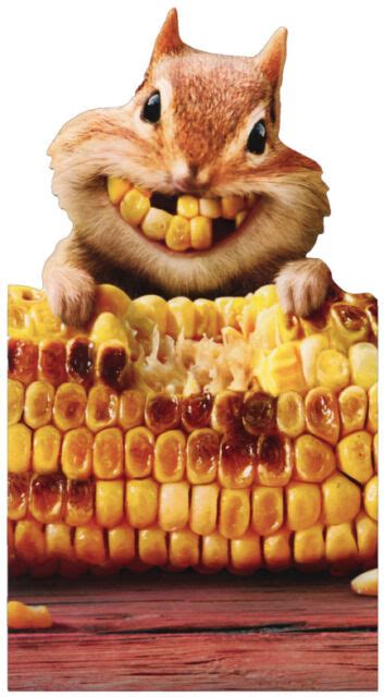 Chipmunk Corn Teeth Little Big Funny Birthday Card Greeting Card By