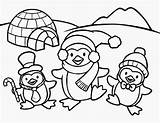 Penguin Cute Baby Drawing Colour Wallpaper Coloring Pages Penguins Colours sketch template