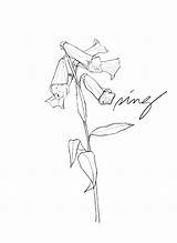 Foxglove Getdrawings Drawing sketch template