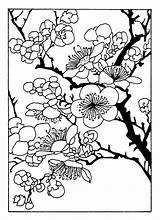 Coloring Cherry Blossom Japanese Pages Tree Designs Printable Flower Oriental Coloriage Colouring Fleur Patterns Adult Color Print Sheets Colorier Book sketch template