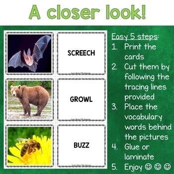 animal sounds photo flash cards  lanas classroom tpt
