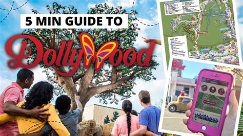 ultimate beginners guide  dollywood youtube