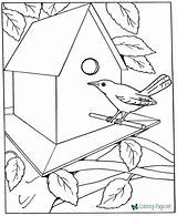 Coloring Pages Printable House Kids Adults Bird Draw Kid Sheets Birds Dementia Colouring Print Patients Boys Templates Adult Learn Easy sketch template