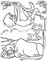 Jungle Mowgli Book Coloring Pages Bagheera Disney Tree Sleeping Climb Colouring Color Kids Kidsplaycolor Drawing Drawings Books Play School Printable sketch template