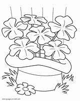 Coloring St Pages Patrick Printable Patricks Clover Colouring Holidays Print sketch template